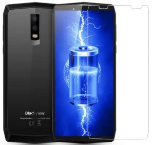 Aizsargstikls Evelatus Blackview P10000 Pro