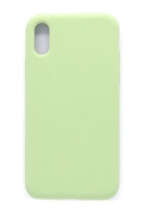 Back panel cover Evelatus Apple iPhone XR Premium Soft Touch Silicone Case Mint Green
