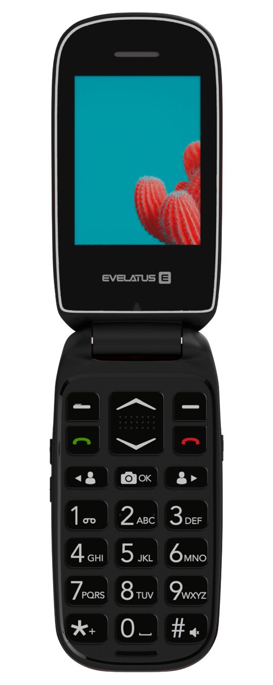 Мобильный телефон Evelatus WAVE 2020 DS EW02RD Maroon Red