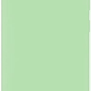 Tagakaaned Evelatus Samsung Galaxy S10 Nano Silicone Case Soft Touch TPU Mint