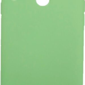 Back panel cover Evelatus Samsung Galaxy A20s Nano Silicone Case Soft Touch TPU Green