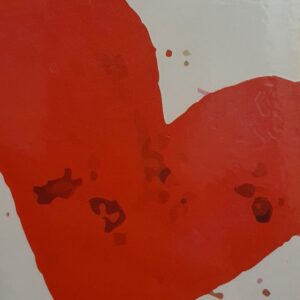 Kaitsekile Evelatus Universal Heart Colorful Film for Sreen Cutter