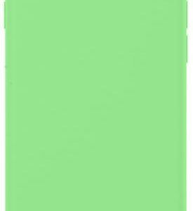 Back panel cover Evelatus Apple iPhone XR Nano Silicone Case Soft Touch TPU Mint