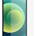 Защитное стекло Evelatus Apple iPhone 12 Pro Max 6.7 Matte 2.5D Silk Cover Japan Glue Glass Anti-Static 