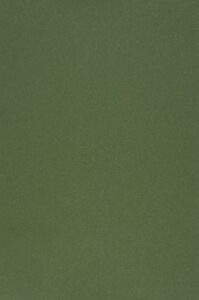 Protective film Evelatus Universal Universal Color Shinning Film for Screen Cutter Army Green