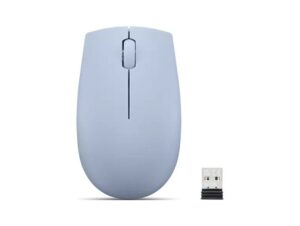 Computer accessories Lenovo  LENOVO 300 Wireless Compact Mouse Frost 