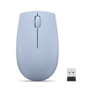 Computer accessories Lenovo  LENOVO 300 Wireless Compact Mouse Frost 