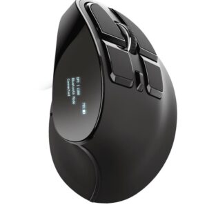 Computer mouse Trust  MOUSE USB OPTICAL ERGONOMIC/VOXX 23731 