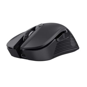 Computer mouse Trust  MOUSE USB OPTICAL WRL YBAR/GTX923 24888 