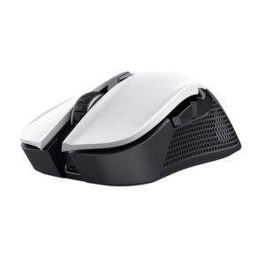 Computer mouse Trust  MOUSE USB OPTICAL WRL YBAR/GTX923W 24889 