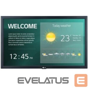 Monitors LG  DISPLAY LCD 22"/22SM3G-B 