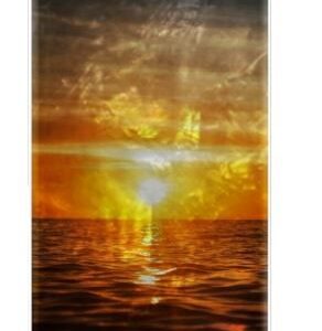 Dėklai Ikins Apple case for Apple iPhone 8/7 sunset white 