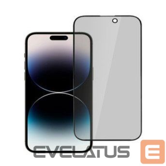 Protective glass Evelatus Apple iPhone 15 Pro Max Privacy 2.5D Silk Full Cover Japan Glue Anti-Static