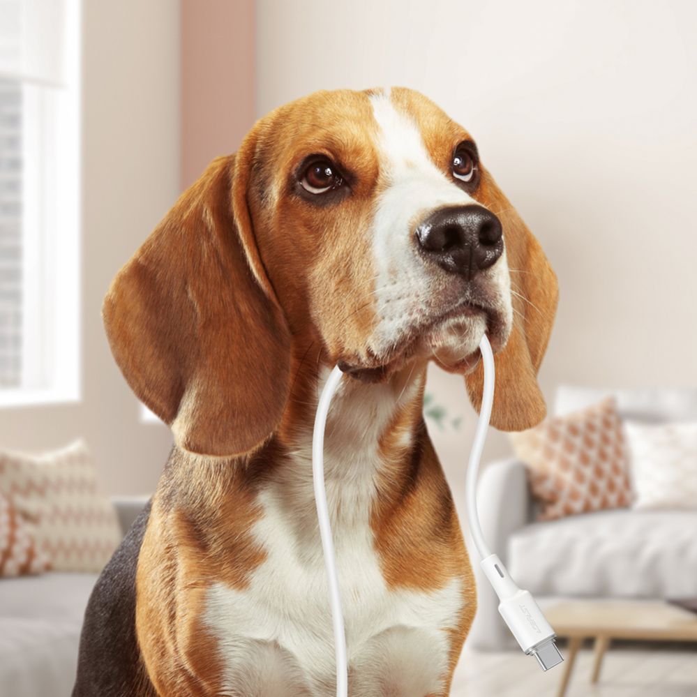 Kaabel Acefast 1.2 m \ White