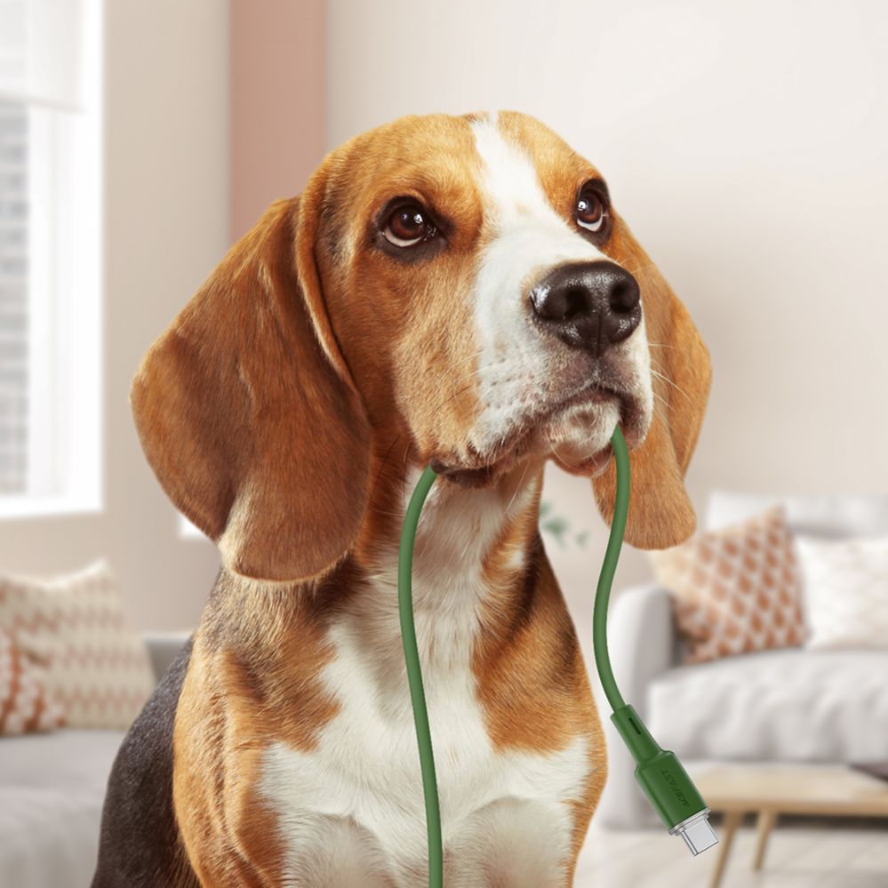 Kaabel Acefast 1.2 m \ Green