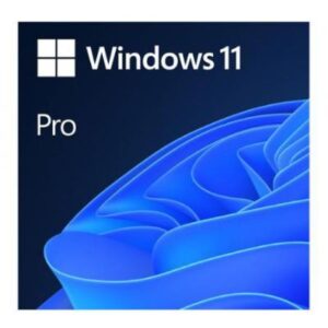 Server - Other Accessories Microsoft  Win 11 Pro 64Bit Eng Intl 1pk DSP OEI DVD 