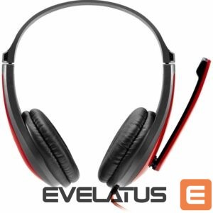 Laidinės ausinės Canyon  Stereo Headset 