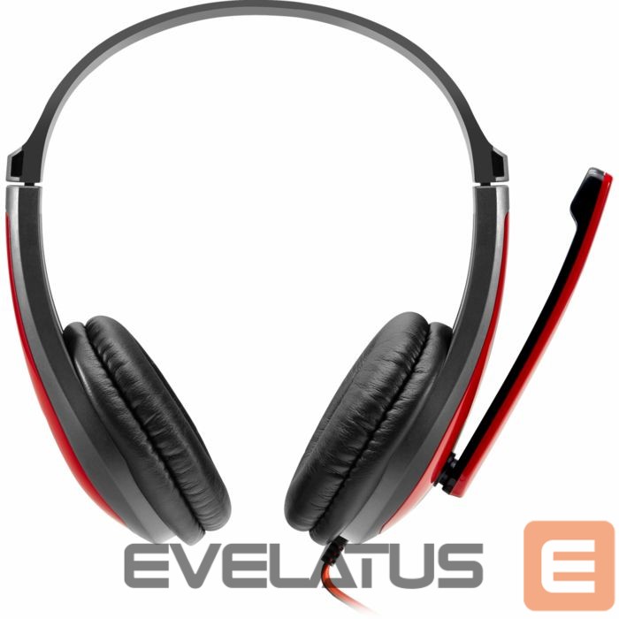 Laidinės ausinės Canyon Stereo Headset