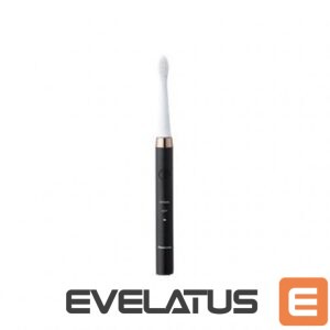 Hambahari Panasonic  Electric Toothbrush EW-DM81-K503 Rechargeable, For adults, Number of brush heads included 2, Number of teeth brushing modes 2, Sonic technology, White/Black 