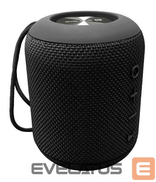 Bluetooth speakers Evelatus Evelatus Bluetooth Speaker S size EBS01 Black