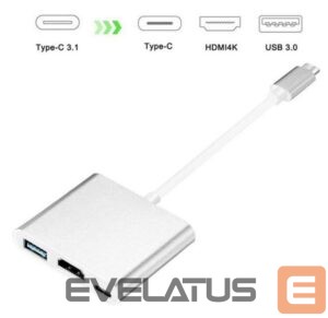 Adapteris iLike  HD1 3in1 USB-C (Type-C) Plug to HDMI 4K / USB 3.0 / USB-C Female Audio & Video Cable Adapter Silver