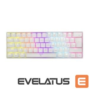 Arvuti klaviatuur White Shark  Shinobi GK-2022 white/blue US 