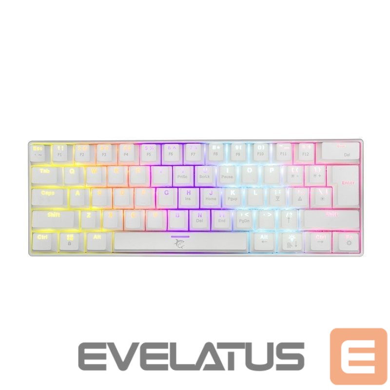 Computer keyboard White Shark Shinobi GK-2022 white/blue US