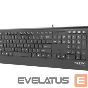 Computer keyboard Natec  Keyboard, Barracuda, US Layout, Slim 