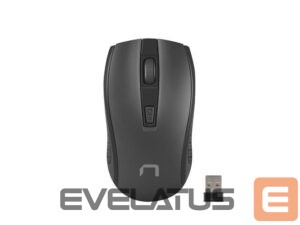 Computer mouse Natec  Mouse, Jay 2, Wireless, 1600 DPI, Optical, Black 