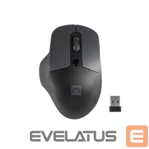 Computer mouse Natec  Mouse, BlackBird 2, Silent, Wireless, 1600 DPI, Optical, Black 