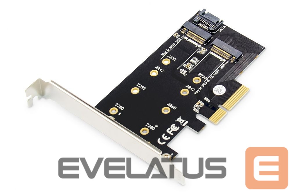 Converter Digitus M.2 NGFF / NVMe SSD PCI Express 3.0 (x4) Add-On Card DS-33170