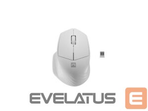 Datora pele Natec  Mouse Siskin 2 	Wireless, White, USB Type-A 