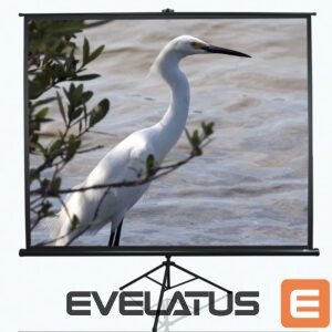 Screen for projectors Elite Screens  Tripod Series T120UWV1 Diagonal 120 