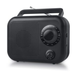 Interaktīvs risinājums New-One  Portable radio 2 ranges R210 