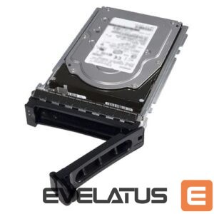 Kietasis diskas HDD Dell  HDD 3.5" / 4TB / 7.2K / NLSAS / 12Gb / 512n / Hot-Plug / 15G 