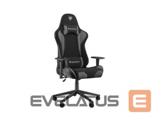 Computer chairs / desks Genesis  Nitro 440 G2, Gaming Chair, Black/Grey 