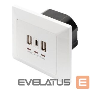 Server - Other Accessories Digitus  Socket with USB A & USB-C Ports, flush mounted 