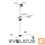 Cita datorprece Techly  Universal projector / notebook trolley with two shelves White