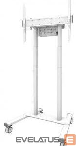 Telerite tarvikud NEOMOUNTS  TV SET ACC FLOOR STAND 37-100"/FL55-875WH1 