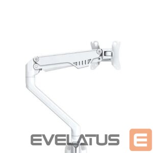 Telerite tarvikud NEOMOUNTS  MONITOR ACC DESK MOUNT 10-32"/FPMA-D750WHITE2 