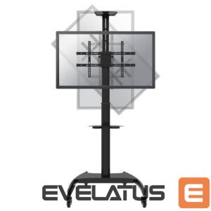 Televizoriai ir jų priedai NEOMOUNTS  TV SET ACC FLOOR STAND BLACK/37-70" PLASMA-M1900E 