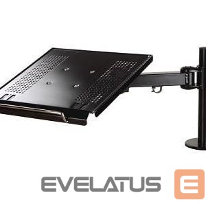 Other Computer Accessory NEOMOUNTS  NB ACC DESK MOUNT 10-22"/NOTEBOOK-D100 