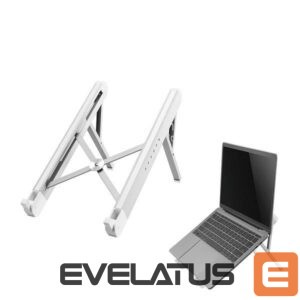 Kitas kompiuterio priedas NEOMOUNTS  NB ACC DESK STAND 11-17"/NSLS010 