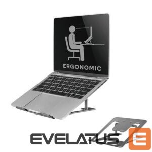 Kitas kompiuterio priedas NEOMOUNTS  NB ACC DESK STAND 10-17"/NSLS085GREY 