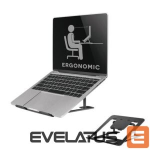 Kitas kompiuterio priedas NEOMOUNTS  NB ACC DESK STAND 10-17"/NSLS085BLACK 