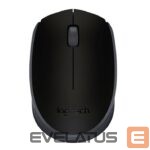 Arvutihiir Logitech  MOUSE USB OPTICAL WRL M171/BLACK 910-004424 