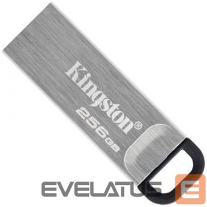 Flash drive Kingston  MEMORY DRIVE FLASH USB3.2/256GB DTKN/256GB 