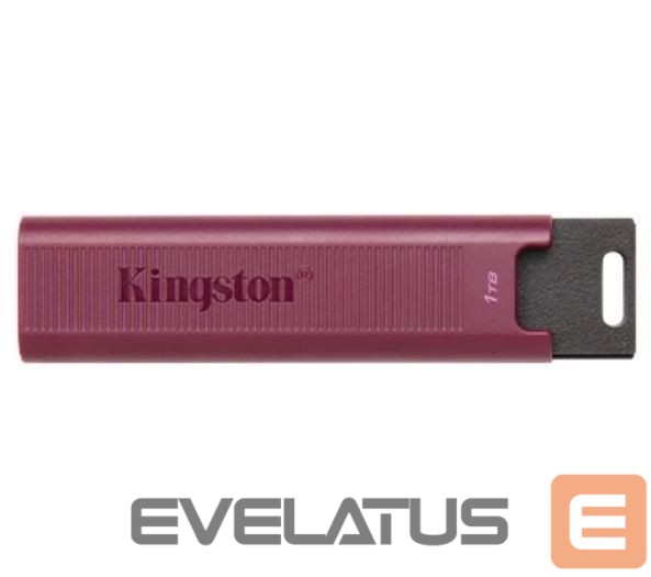 Flash drive Kingston MEMORY DRIVE FLASH USB3.2/1TB DTMAXA/1TB