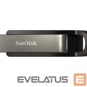 Flash drive SANDISK BY WESTERN DIGITAL  MEMORY DRIVE FLASH USB3.2/64GB SDCZ810-064G-G46 SANDISK 