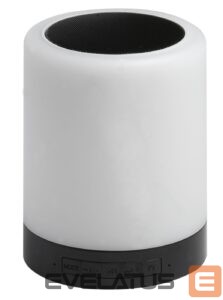 Bluetooth speakers Denver  BTL-30BNR 